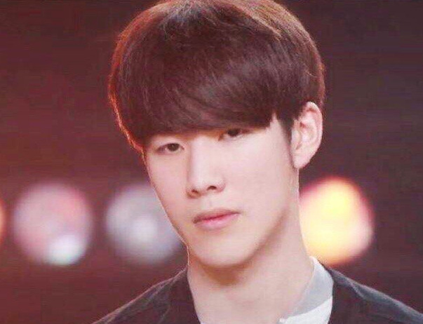 近年来在全 近年来在全